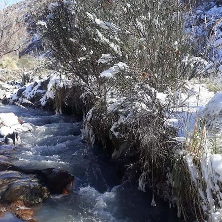 Cabana Pura Vida Potrerillos Kültér fotó