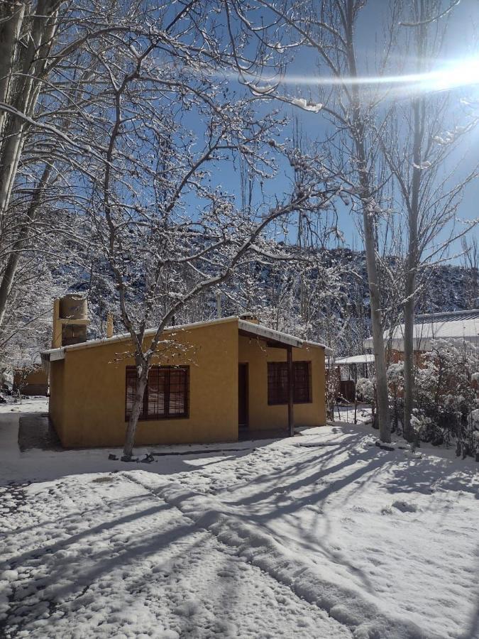 Cabana Pura Vida Potrerillos Kültér fotó