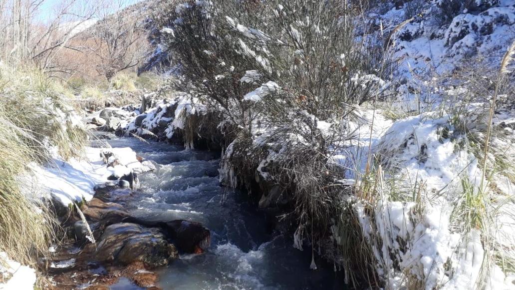Cabana Pura Vida Potrerillos Kültér fotó